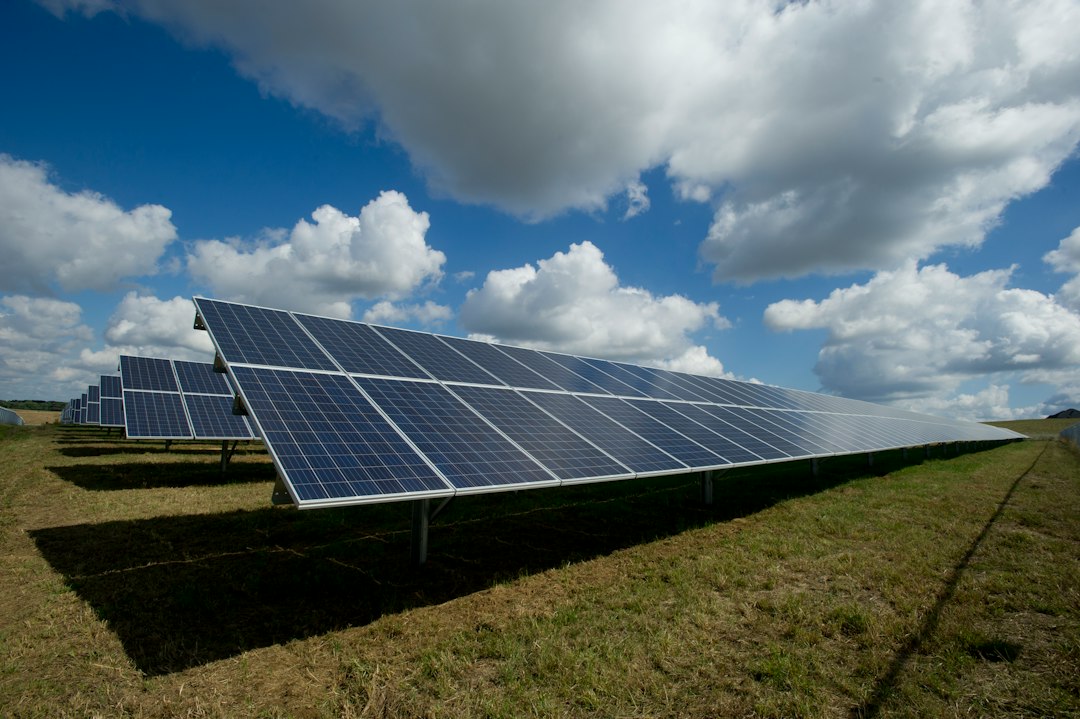 Paneles solares en campo abierto